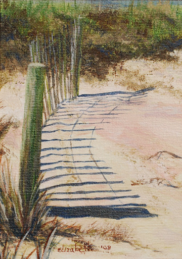 Sand Dune Fence by Beth Maddox
