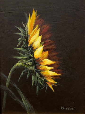 Shy Sunflower by Beth Maddox