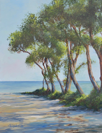 Trees On The Beach by Beth Maddox